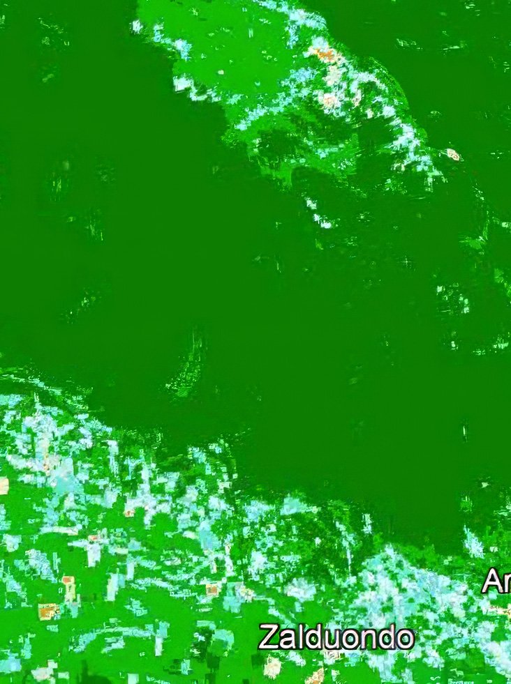 Índice de calcinación del 21 de junio: apenas un punto rojo sobre el bosque