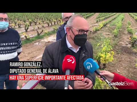 El Diputado General visita los viñedos dañados por el granizo
