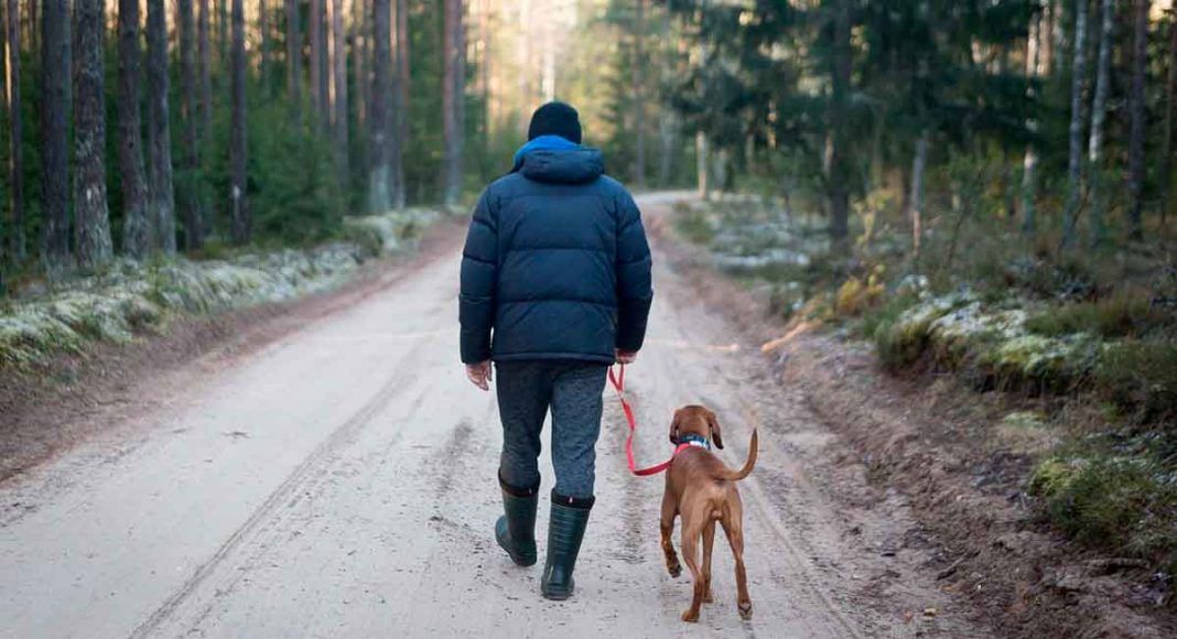 una persona paseando un perro