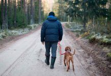 una persona paseando un perro