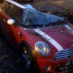 VIENTO-RAMAS-MARZO20-01