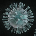 virus_1