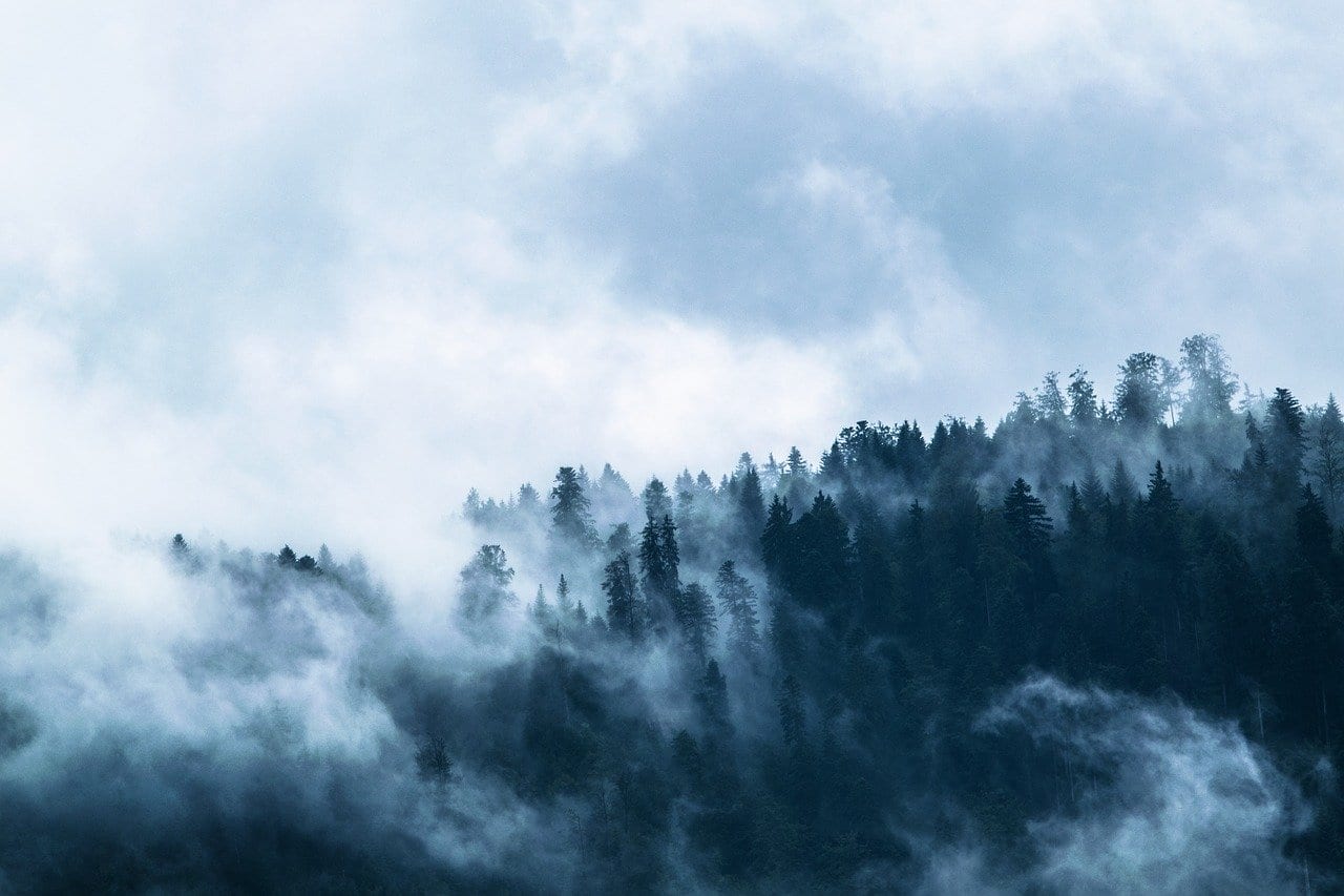 fog-1535201_1280