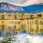 GL_biotipoprotegidodelaguardia385x220-1