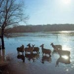 GL_paseohumedalsalburuavitoriagasteiz