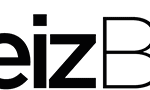 GasteizBerri.com elecciones vota