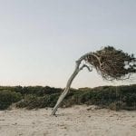 La-lenta-adaptación-del-movimiento-Yone-Estivariz-Urraca