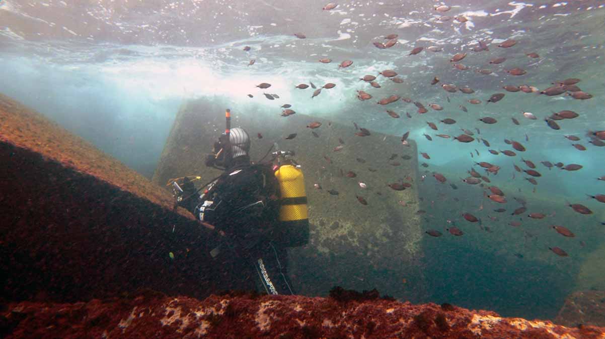 Grupo de Investigación Bentos Marino UPVEHU