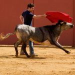 Best_cape_April’09