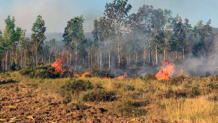 Álava mantiene el aviso amarillo por riesgo de incendios forestales