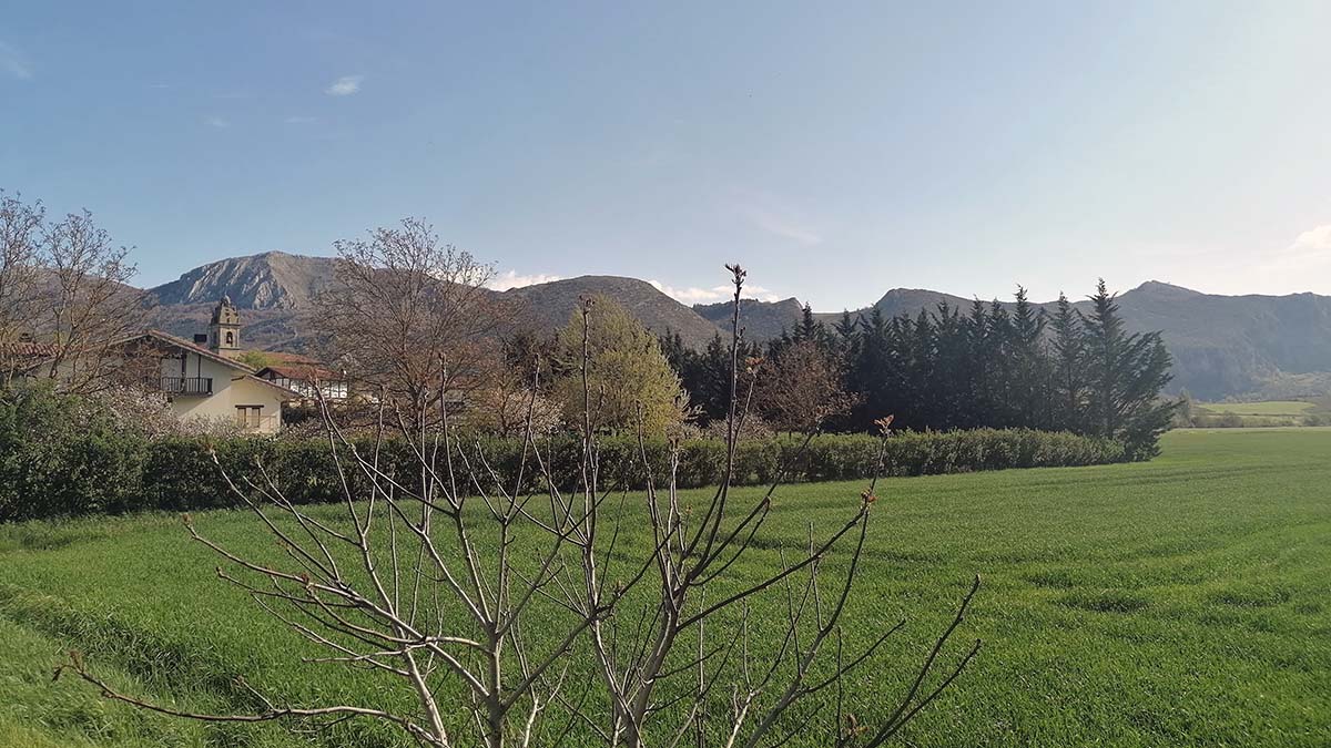montes álava