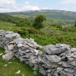 2.-interes-naturalistico_sanlorenzo-(7)