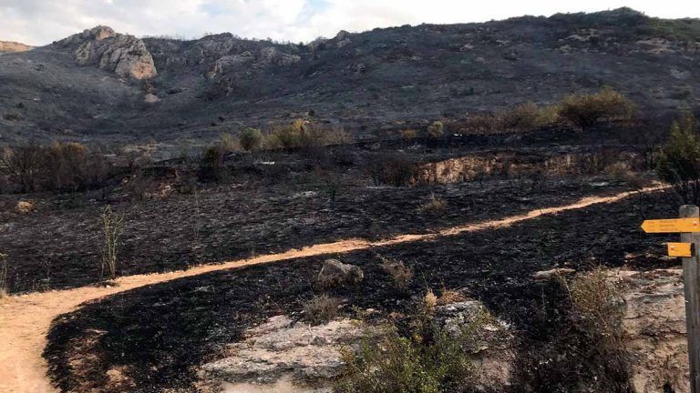 La superficie forestal incendiada en Álava cae un 81% en dos décadas