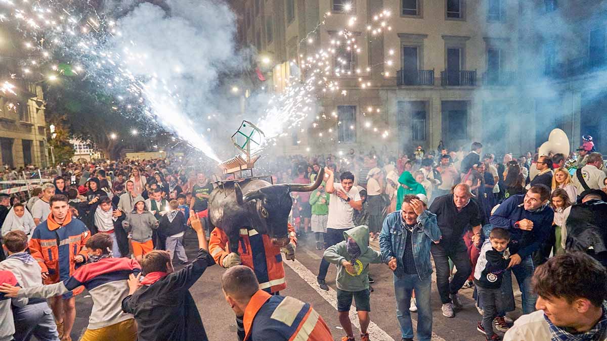 TORO DE JUEGO OLAGIBEL