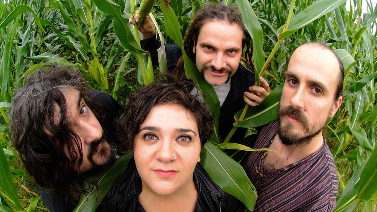zea mays llodio