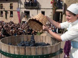 Fiesta de la Vendimia de Rioja Alavesa