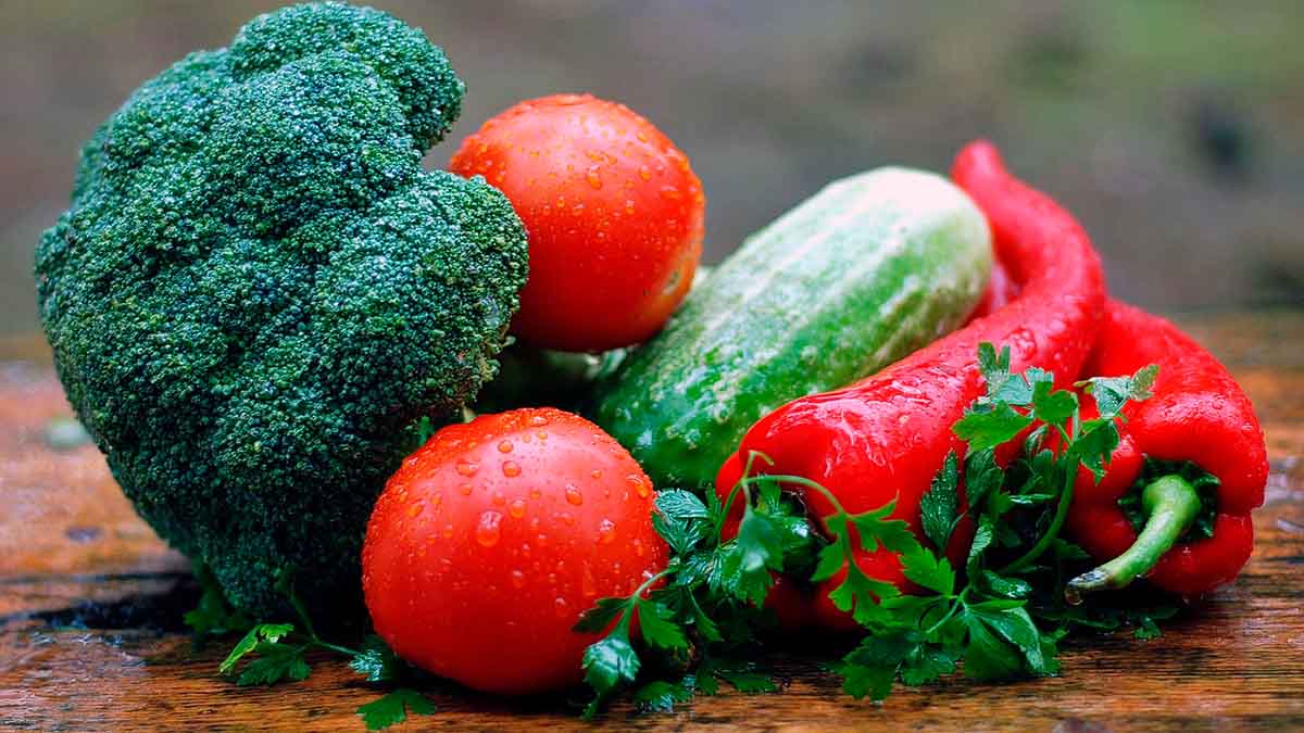 ayudas a la alimentacion euskadi