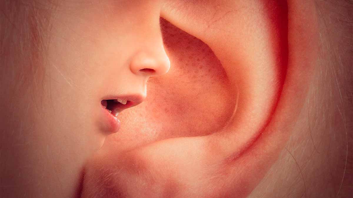 ear-gf1758f5cc_1280