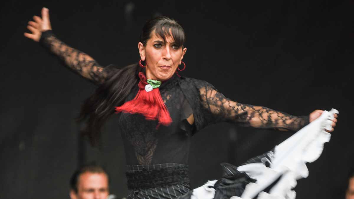 la pulga vitoria