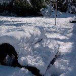 parque de la florida vitoria