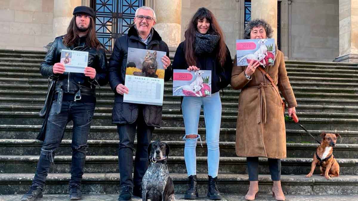 CALENDARIO SOLIDARIO APASOS