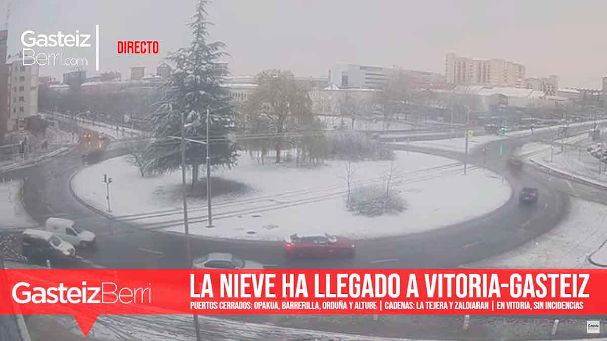 NIEVE DIRECTO 2
