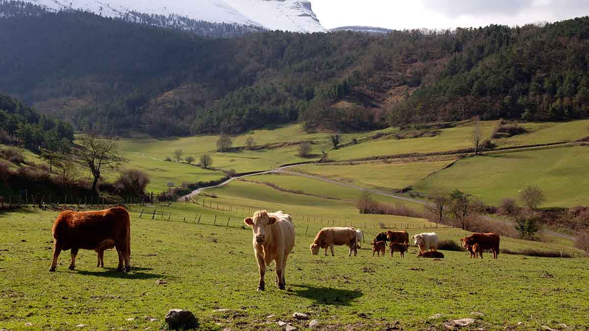 Ayala paisaje