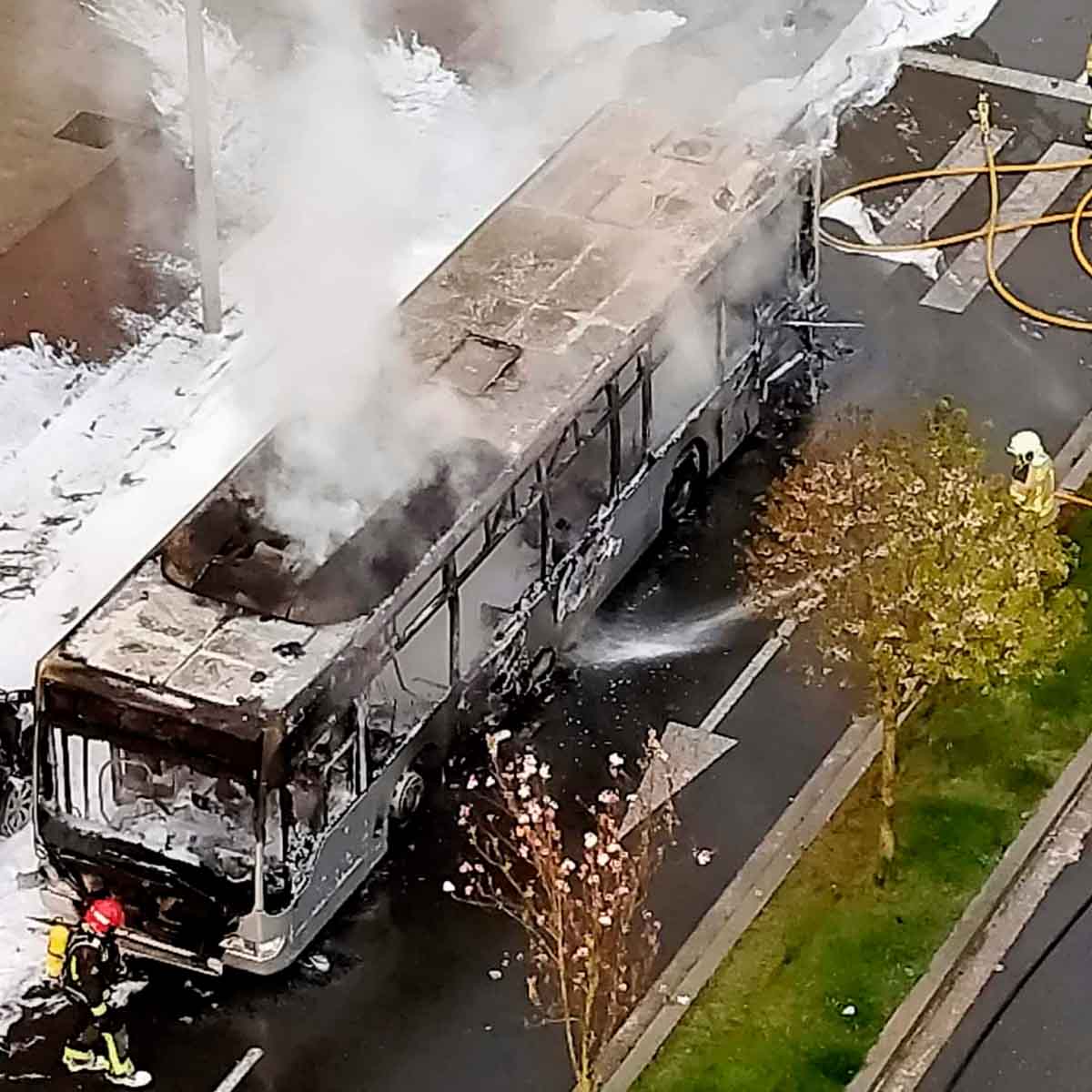 ARDE AUTOBUS TUVIS