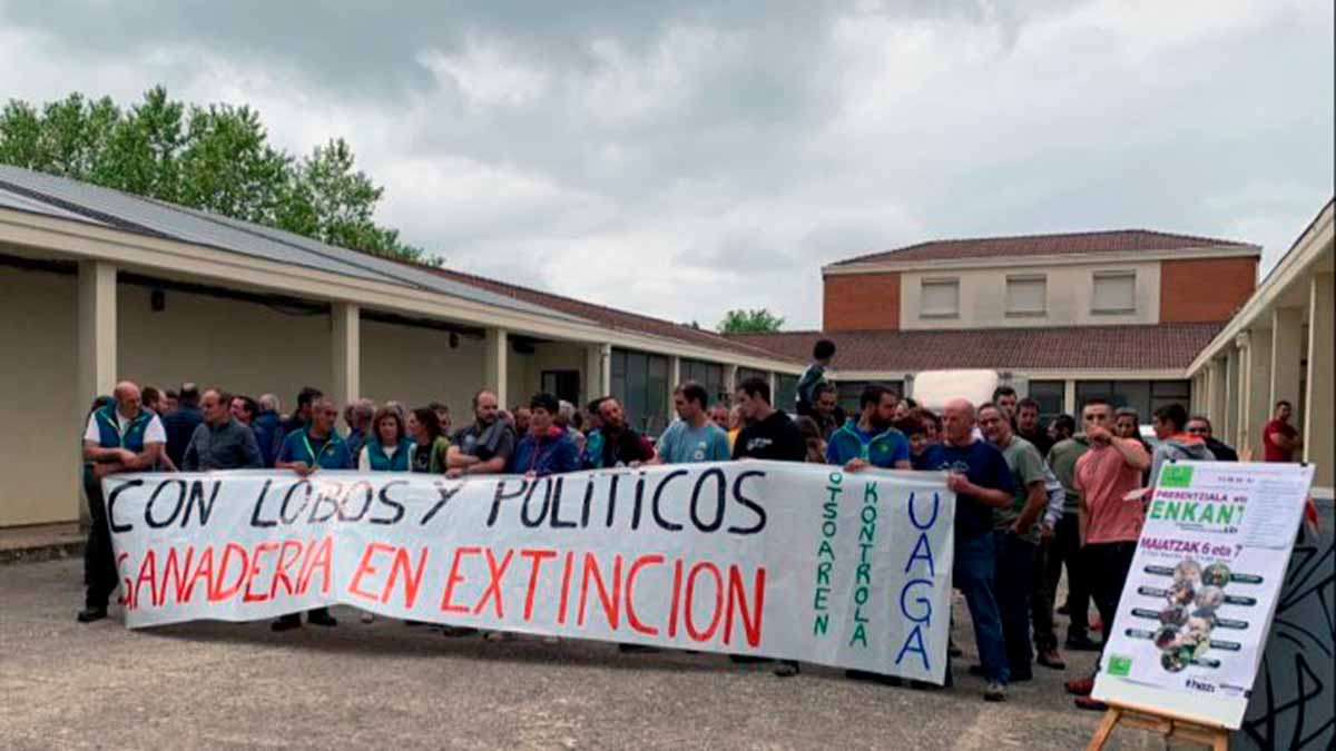 lobos alava uaga