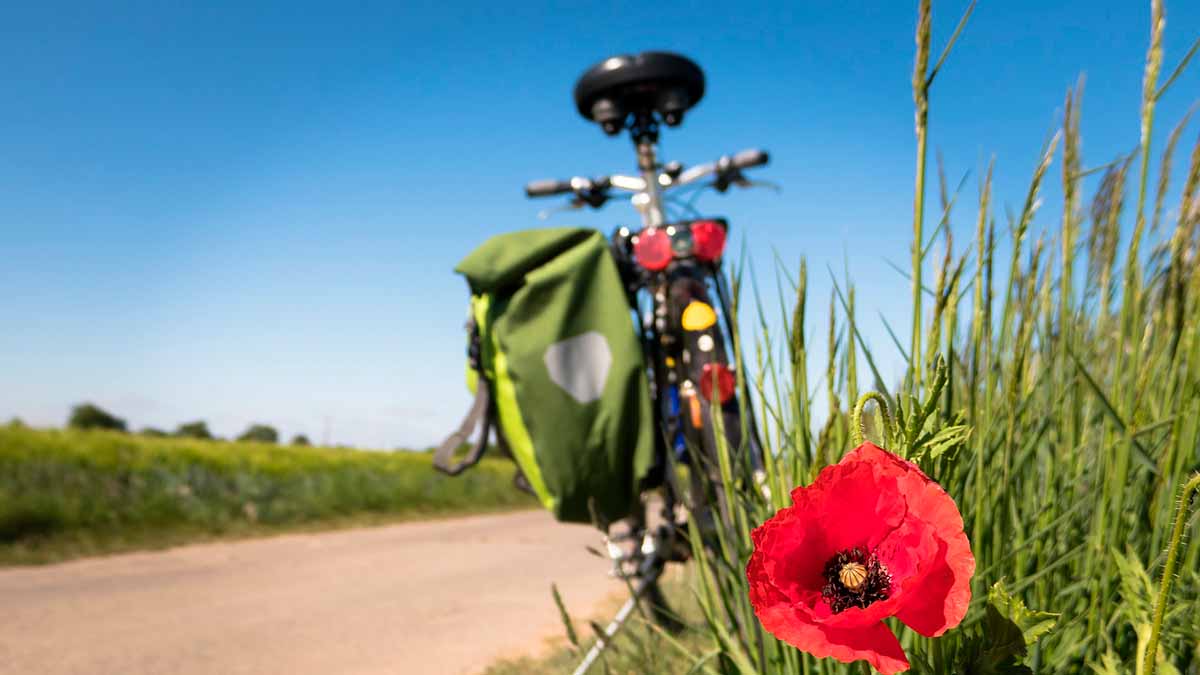 bicicleta vitoria