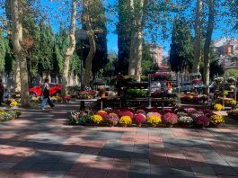 Los cementerios de Vitoria rozan el lleno cementerios de Vitoria