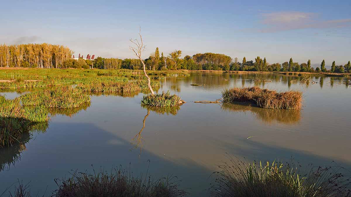 humedales salburua