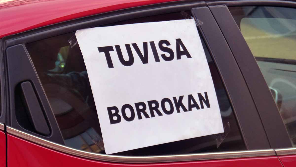 tuvisa borrocan