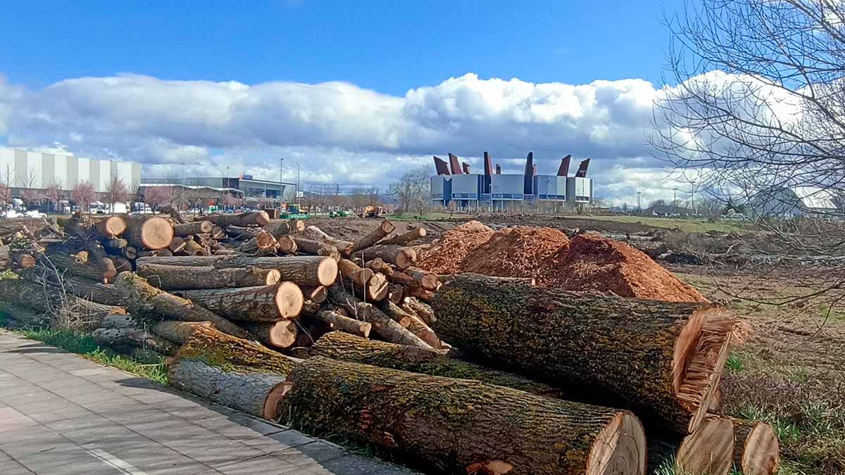 Acalorado debate en Juntas por el proyecto universitario ligado a Euneiz 1 tala arboles salburua