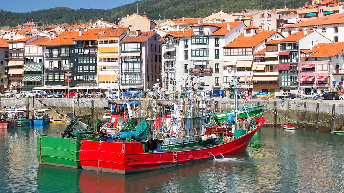 barco pesca