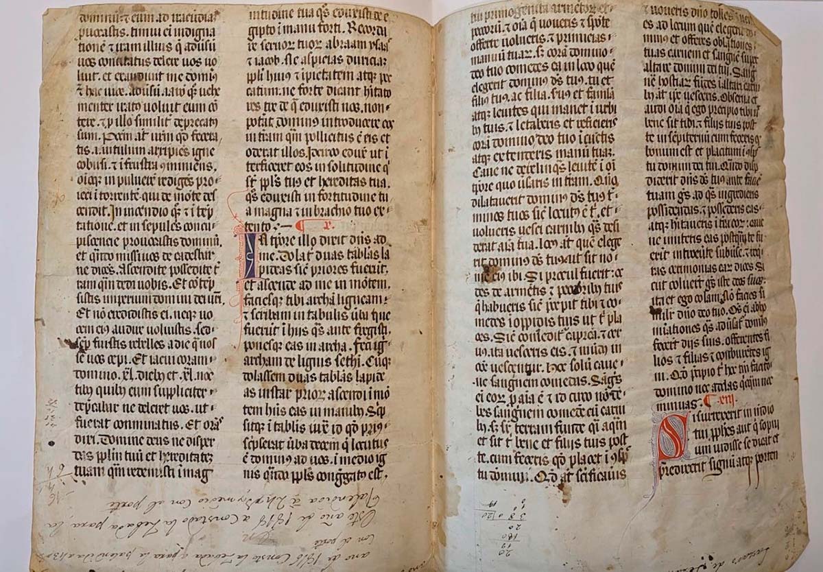 biblia Quejana