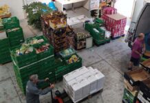 Gran Recogida de alimentos