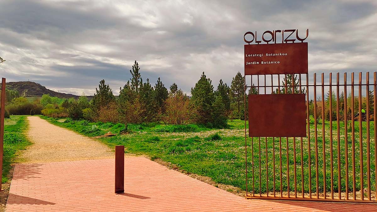 OLARIZU CEA