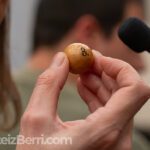 RIFA DE SAN ANTÓN de Vitoria 2025 13