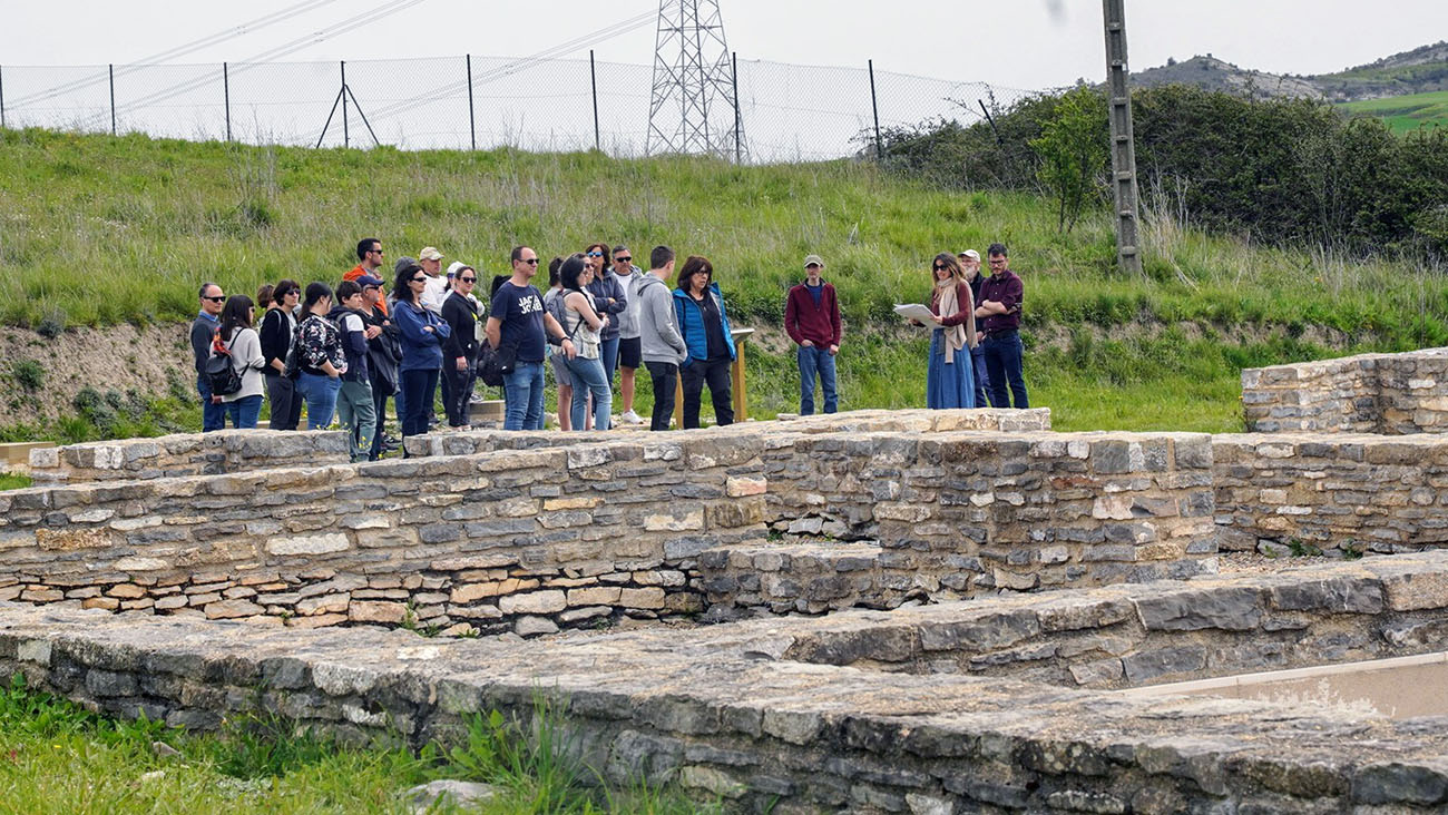 VISITA GUIADA IRUÑA VELEIA Un grupo de personas en una visita guiada en Iruña Veleia | Imagen: Alex García.