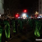 desfile carnaval 2025-116