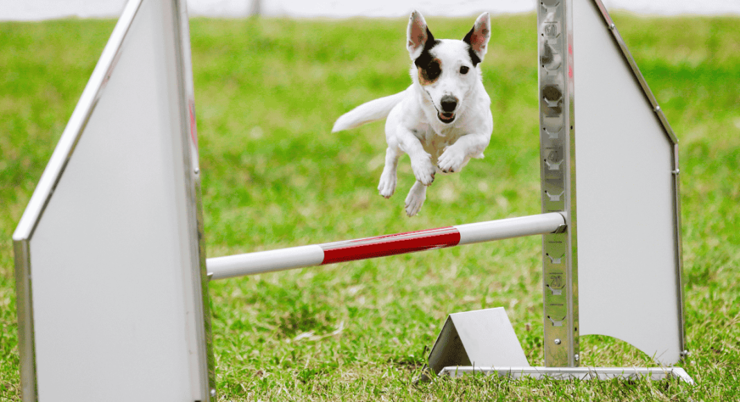 copia de copia de video ig (1920 x 1080 px) (27)