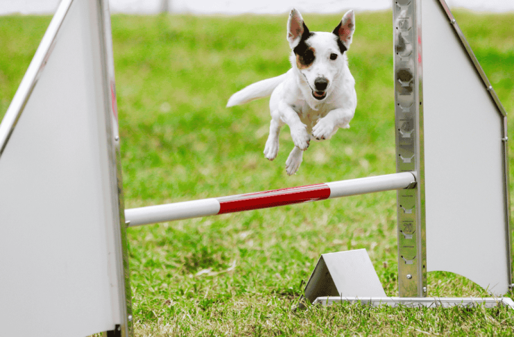 copia de copia de video ig (1920 x 1080 px) (27)