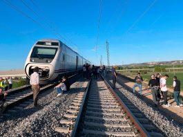 tren alvia vitoria