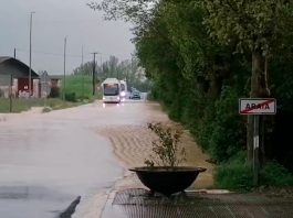 tormena asparrena