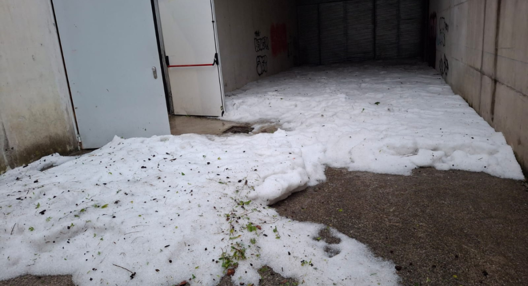 copia de copia de video ig (1920 x 1080 px) (52)