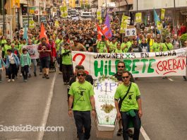 jardineros en lucha manifestacion enviser vitoria (15 of 17)