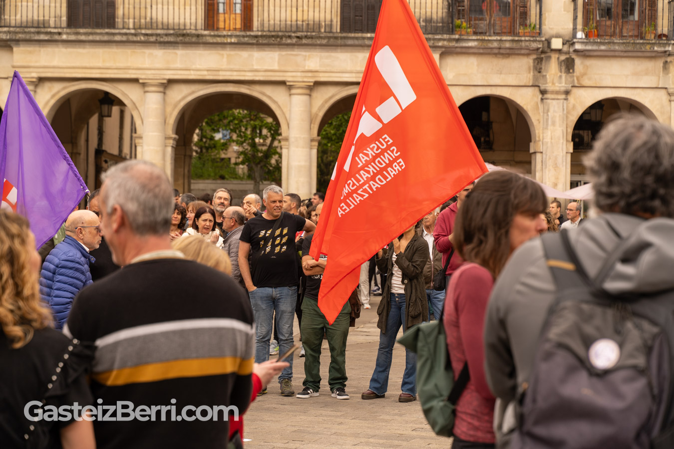 jardineros en lucha manifestacion enviser vitoria (7 of 17)