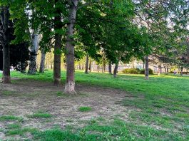parque del norte