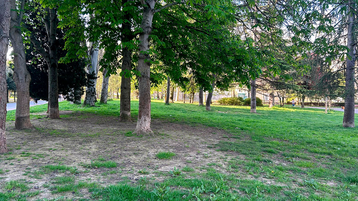 parque del norte parque del norte